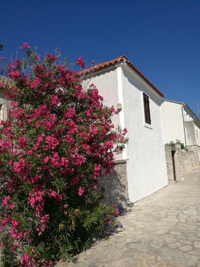 Littel Studio Franceska Jezera Exterior photo